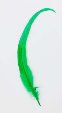 Dyed Coque Sweeps feathers - GREEN